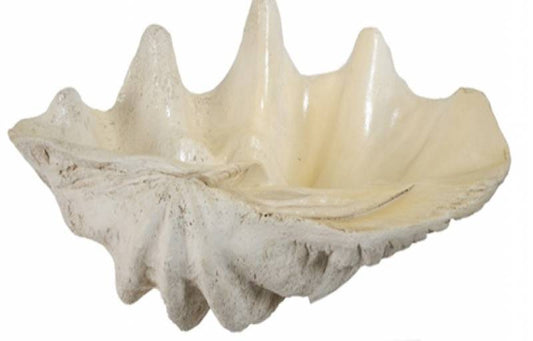 Large Shell Ornament 63cm