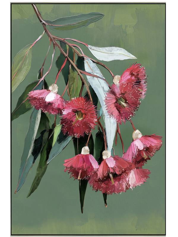 Gum Nut Framed Canvas 120cm
