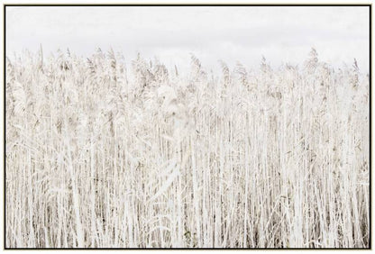 Pampas Grass Framed Canvas Wall Art 120cm - Image 2