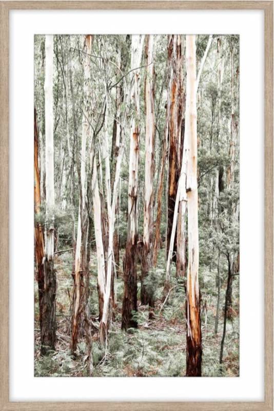 Forest Walk Framed Artwork 120cm