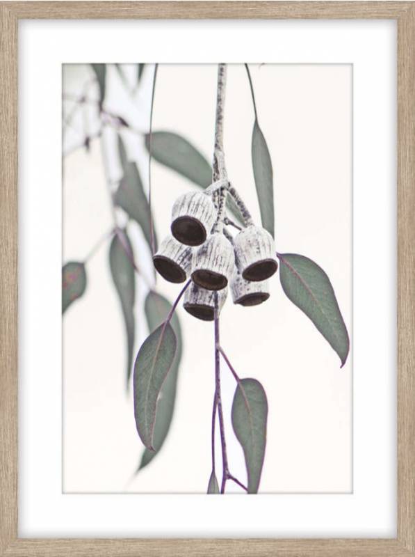 Gumnut Framed Artwork 80cm