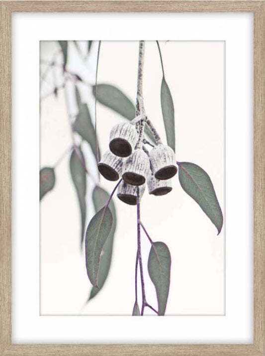 Gumnut Framed Artwork 80cm