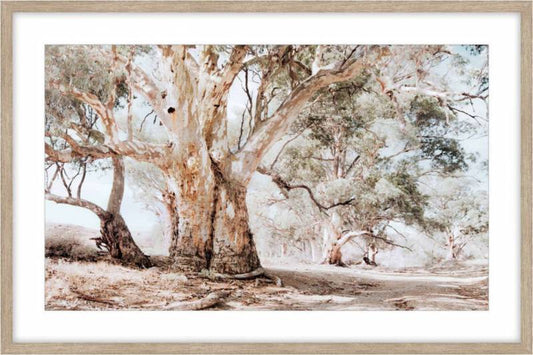 Murray Tree Framed Artwork 80cm