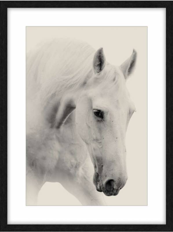 White Horse Framed Artwork 80cm