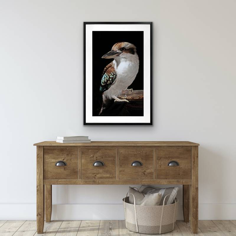 Mystery Kookaburra Artwork Framed w Glass Front 120cm - Image 4