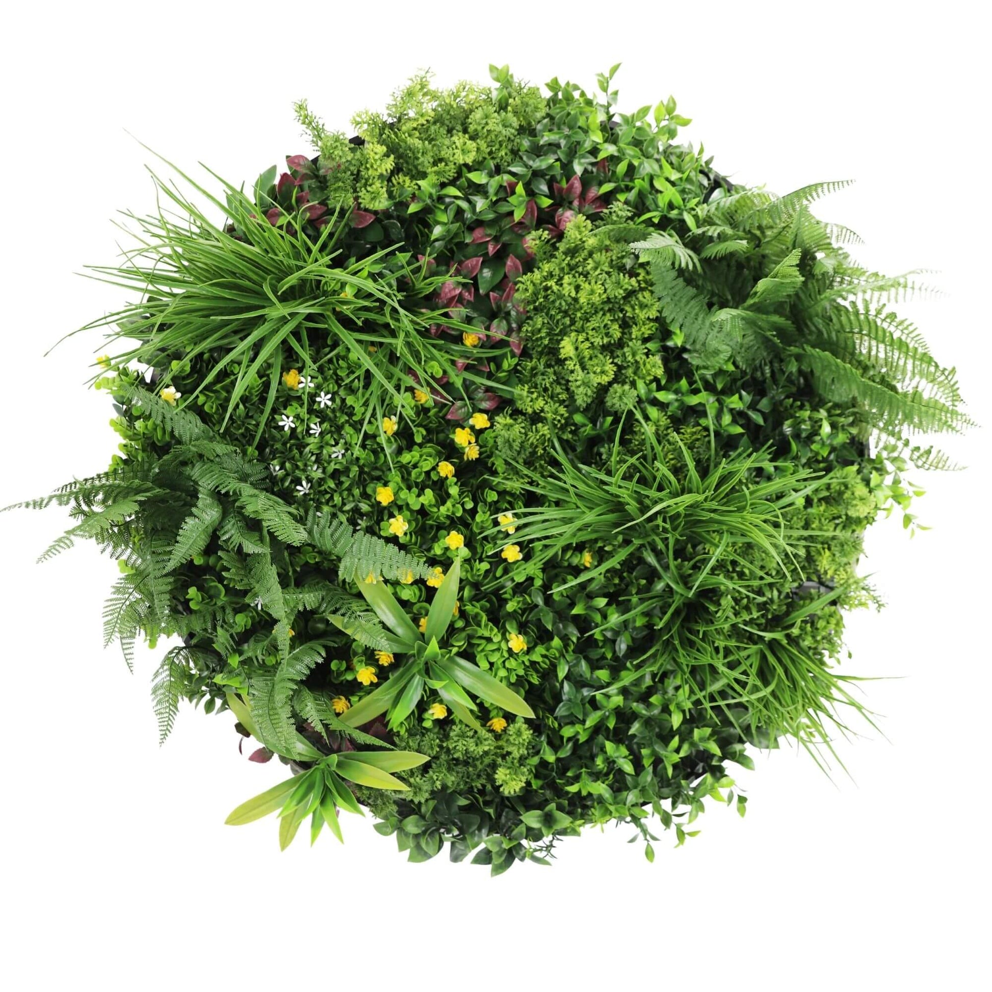 Slimline Artificial Green Wall Disc Art 80cm Country Fern UV Resistant (Black) - Image 3