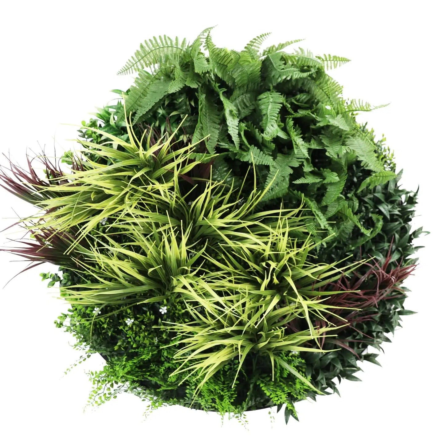 Slimline Artificial Green Wall Disc Art 80cm Grassy Fern UV Resistant (Black) - Image 3