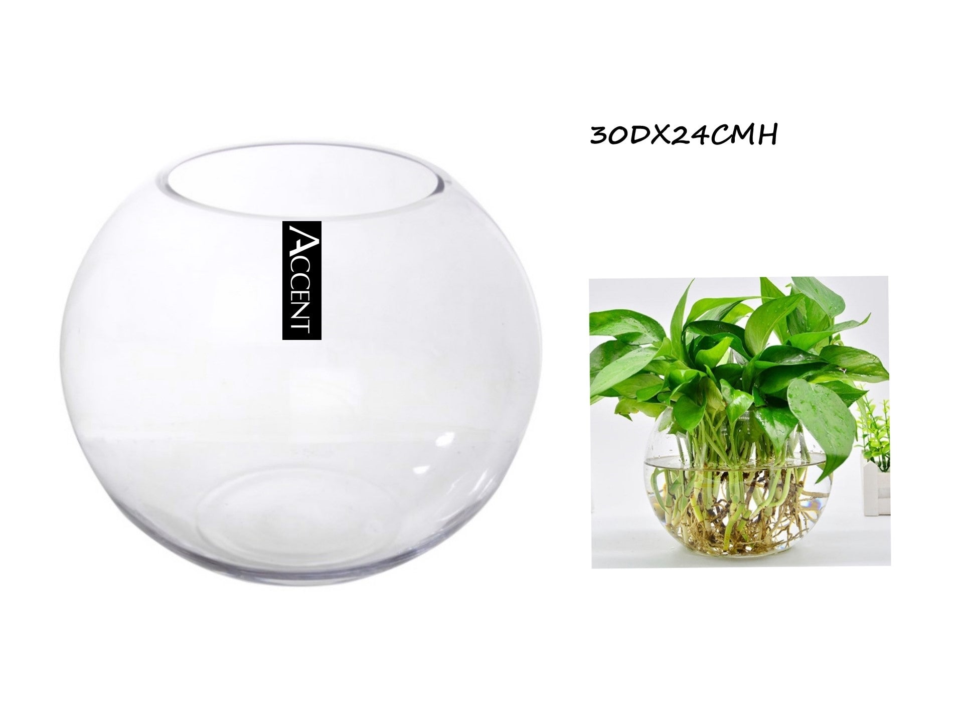 Glass Rose Round Fish Bowl 30cm