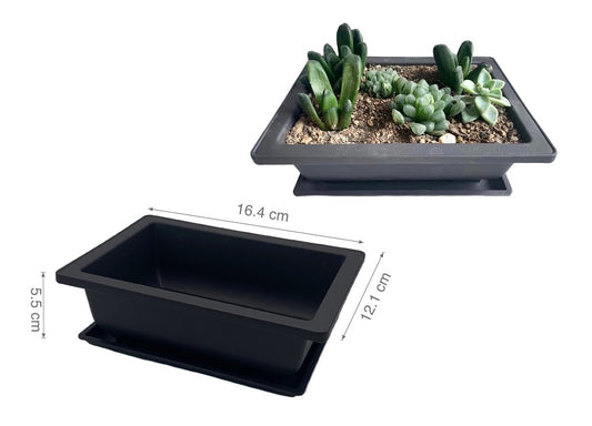 bulk 24 Bonsai Succulent Planter w/ Tray 16cm