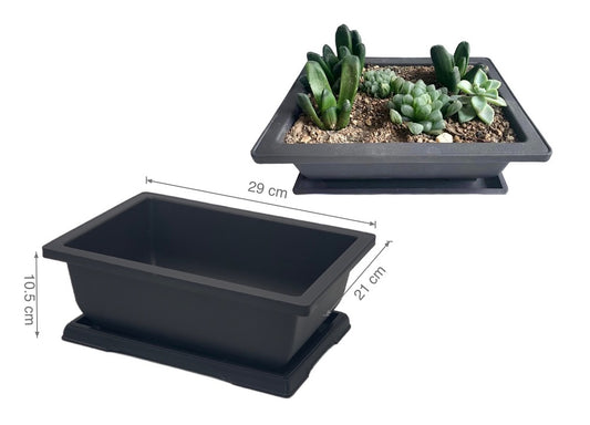 bulk 24 Bonsai Succulent Planter w/ Tray 29cm