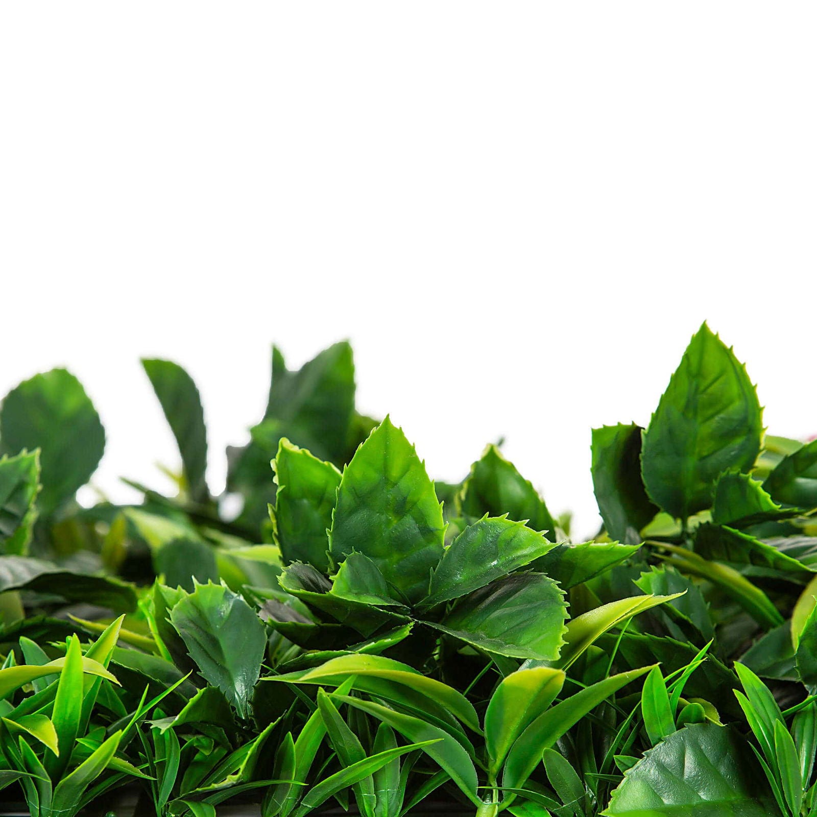 Native Tea Tree Vertical Garden / Green Wall UV Resistant 100cm X 100cm - Image 4