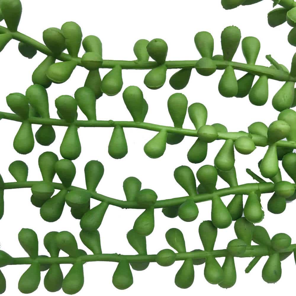 Hanging Succulent String Of Pearl Beads 75cm - Image 3