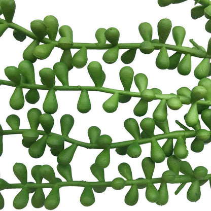 Hanging Succulent String Of Pearl Beads 75cm - Image 3