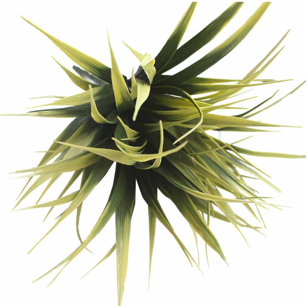 Yellow Tipped Grass Stem UV Resistant 35cm - Image 4