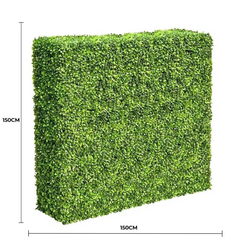 Large Portable Mixed Boxwood Hedge 1.5m by 1.5m UV Resistant - Image 2
