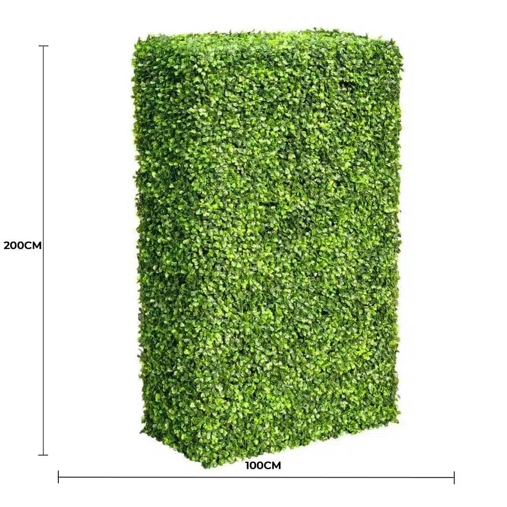 Large Portable Mixed Boxwood Hedge UV Resistant 100cm Long x 200cm High - Image 2