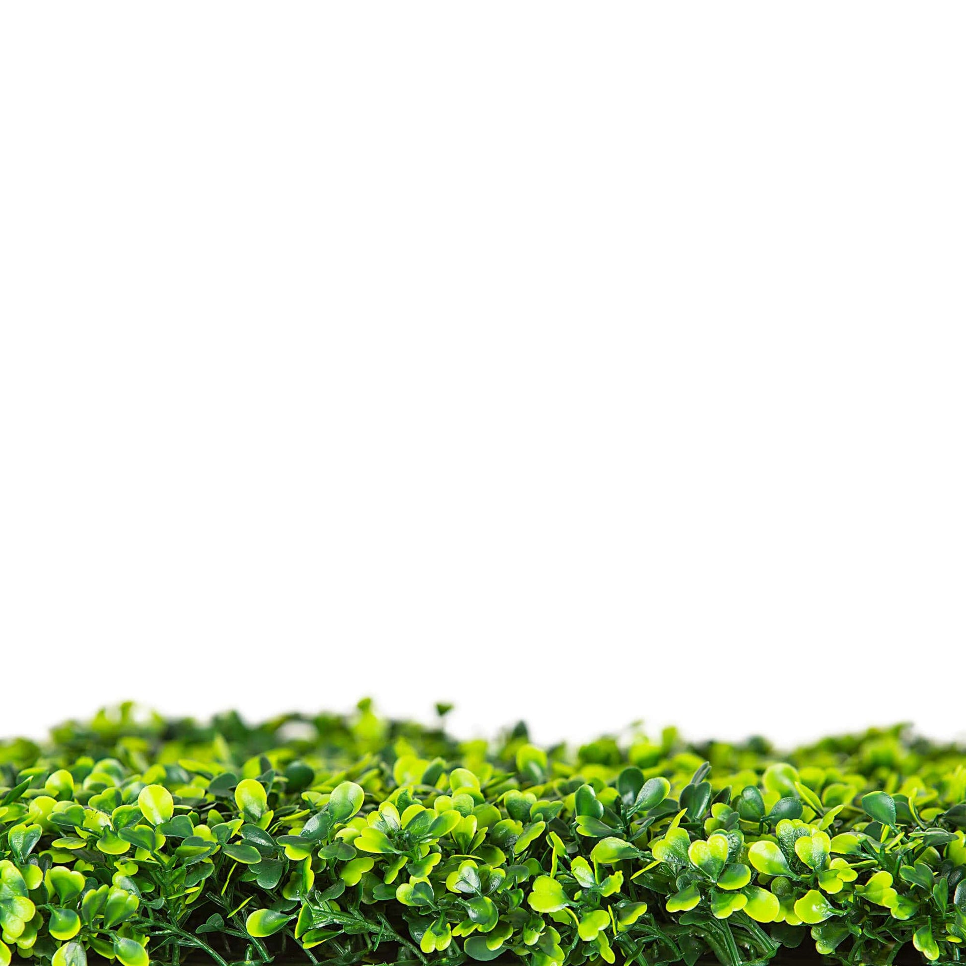 Mixed Boxwood Hedge UV Resistant 75cm Long x 75cm High - Image 4