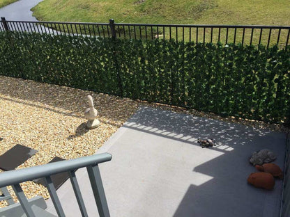Double Sided Ivy Rolls 3m X 1m - Image 5