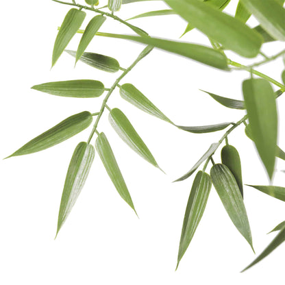 Premium Natural Cane Artificial Bamboo (UV Resistant) 180cm - Image 4