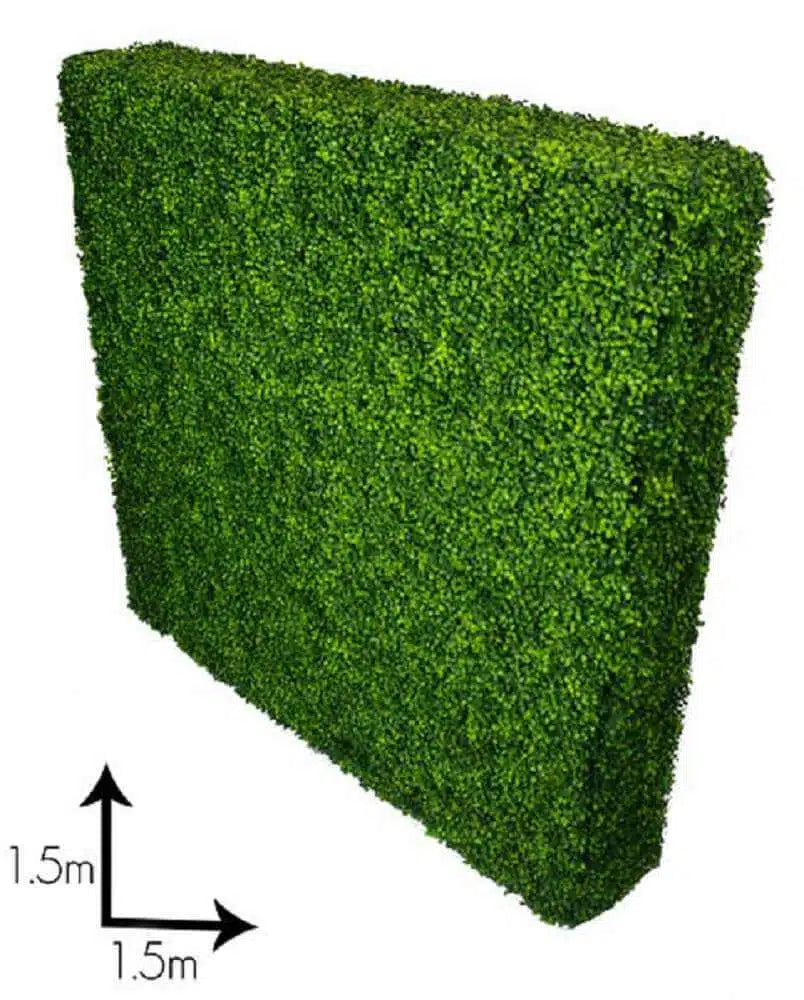 Large Portable Mixed Boxwood Hedge 1.5m by 1.5m UV Resistant - Image 3