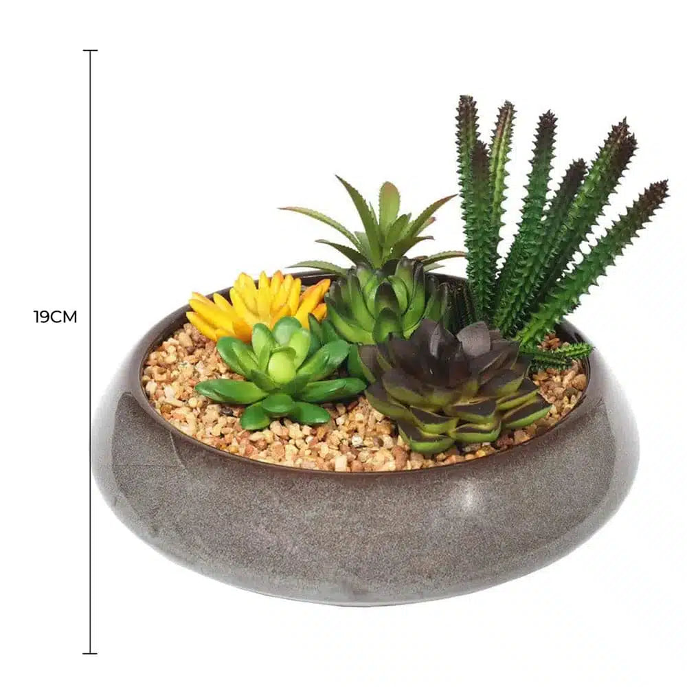 Potted Artificial Succulents with Round Decorative Bowl 19cm - Image 2