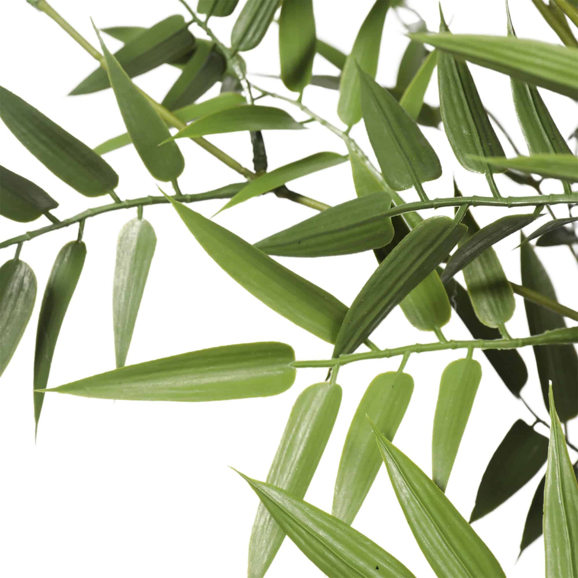 Premium Potted Artificial Black Bamboo Tree UV Resistant 180cm - Image 3