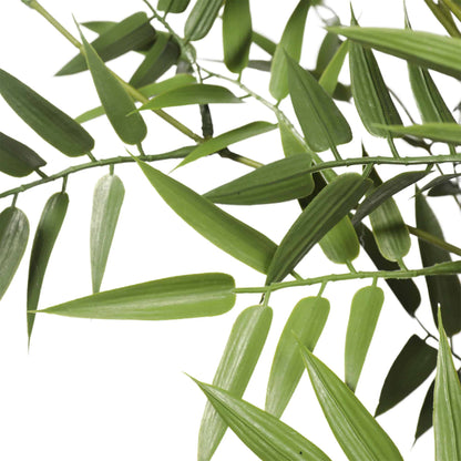 Premium Potted Artificial Black Bamboo Tree UV Resistant 180cm - Image 3