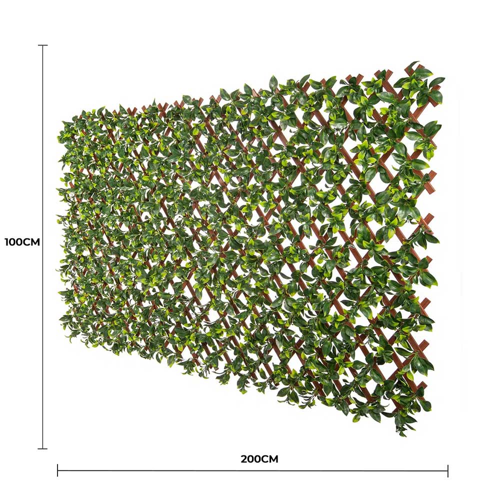 Premium Jasmine Artificial Hedge Extendable Trellis / Screen 2 Meter By 1 Meter UV Resistant (PVC) - Image 2