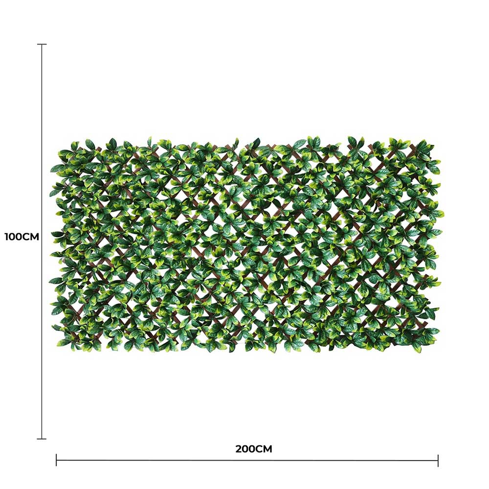 Premium Laurel Leaf Artificial Hedge Extendable Trellis / Screen 2 Meter By 1 Meter UV Resistant (PVC) - Image 2