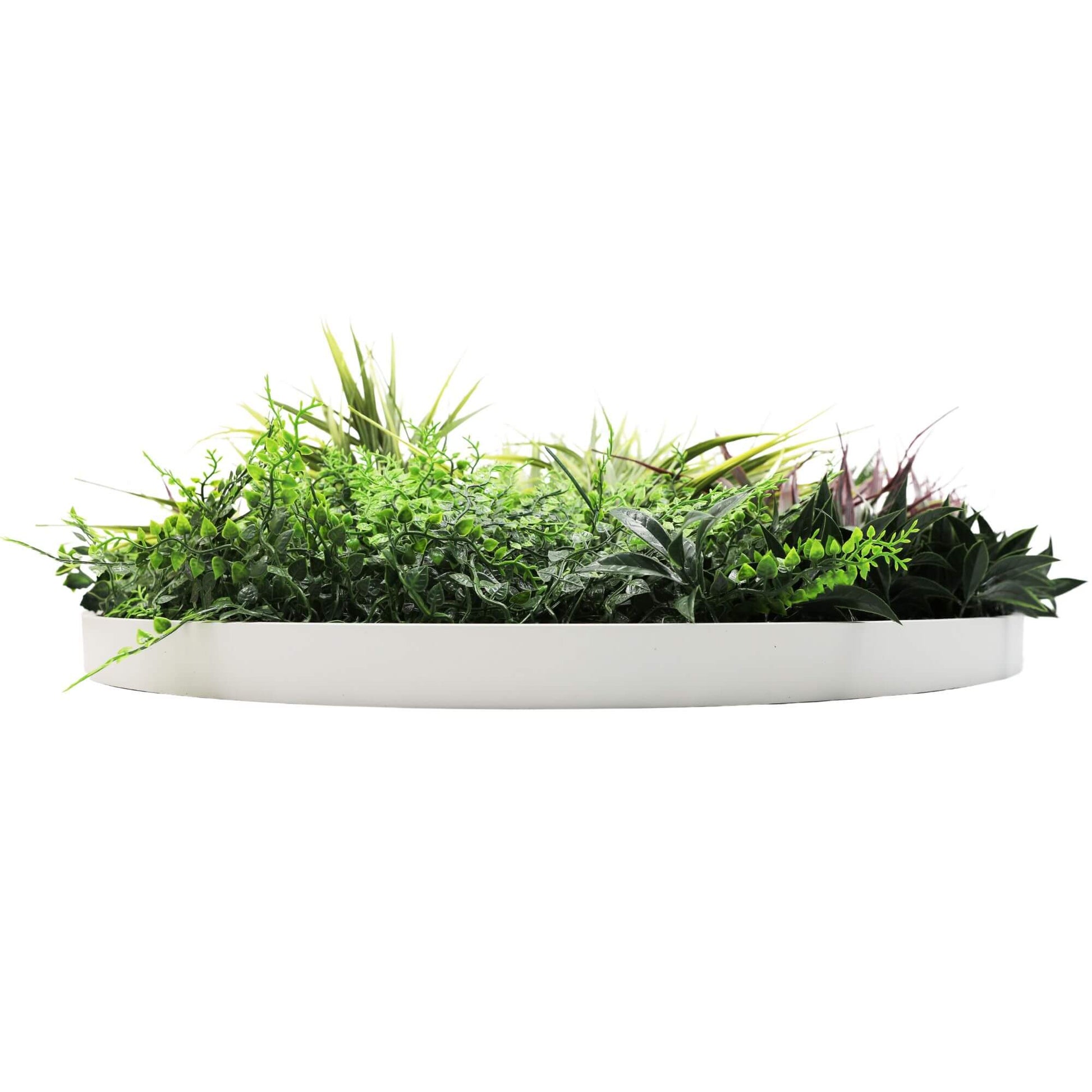 Slimline Artificial Green Wall Disc Art 80cm Grassy Fern UV Resistant (White) - Image 3