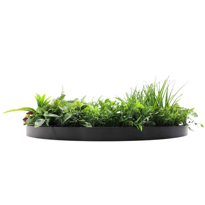 Slimline Artificial Green Wall Disc Art 80cm Country Fern UV Resistant (Black) - Image 4