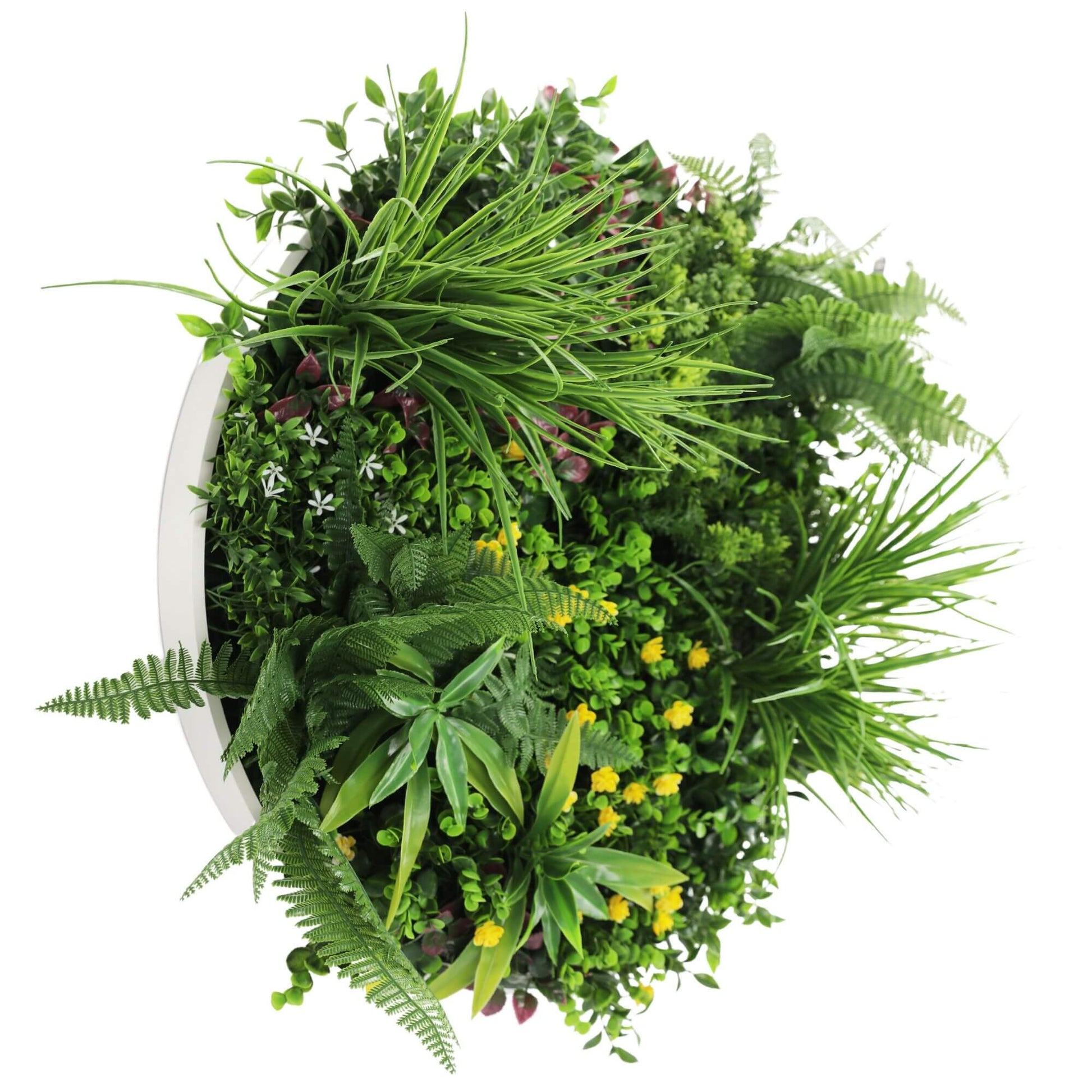 Slimline Artificial Green Wall Disc Art 60cm Country Fern UV Resistant (White) - Image 3