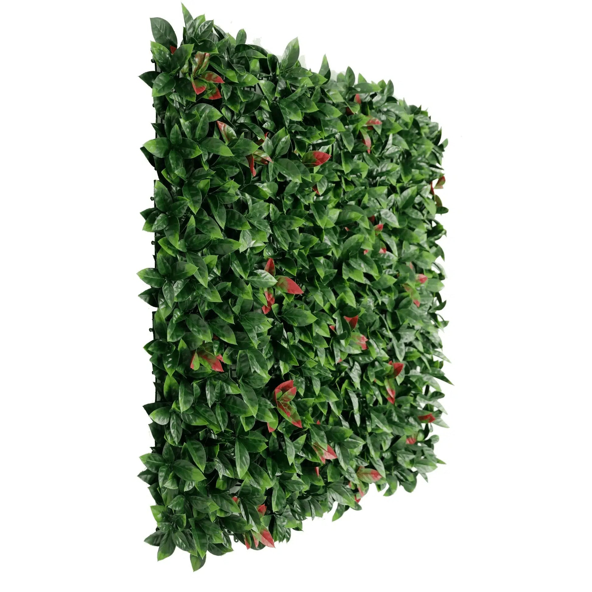 Photinia (Red Robin) Hedge Leaf Screens / Panels UV Resistant 1m x 1m - Image 3