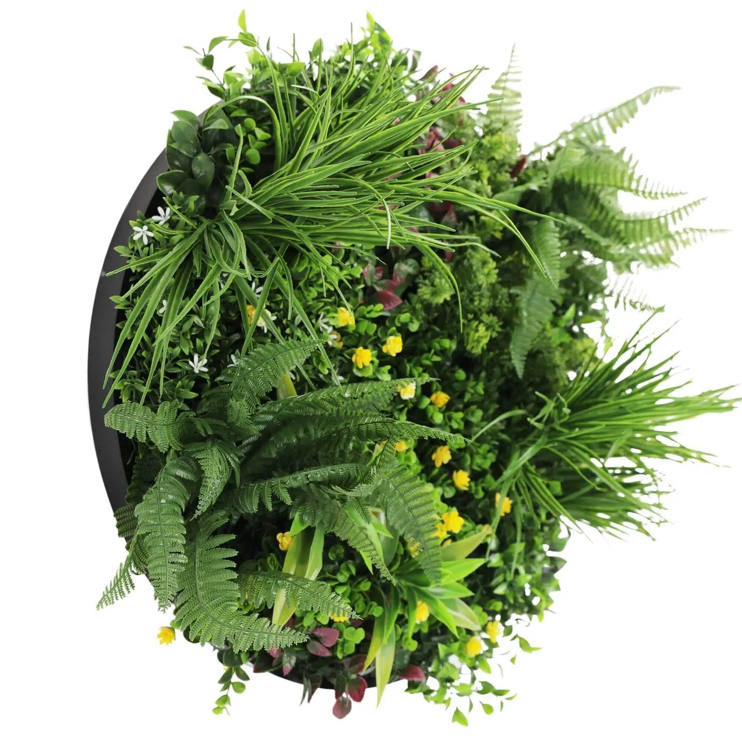 Slimline Artificial Green Wall Disc Art 60cm Country Fern UV Resistant (Black) - Image 3
