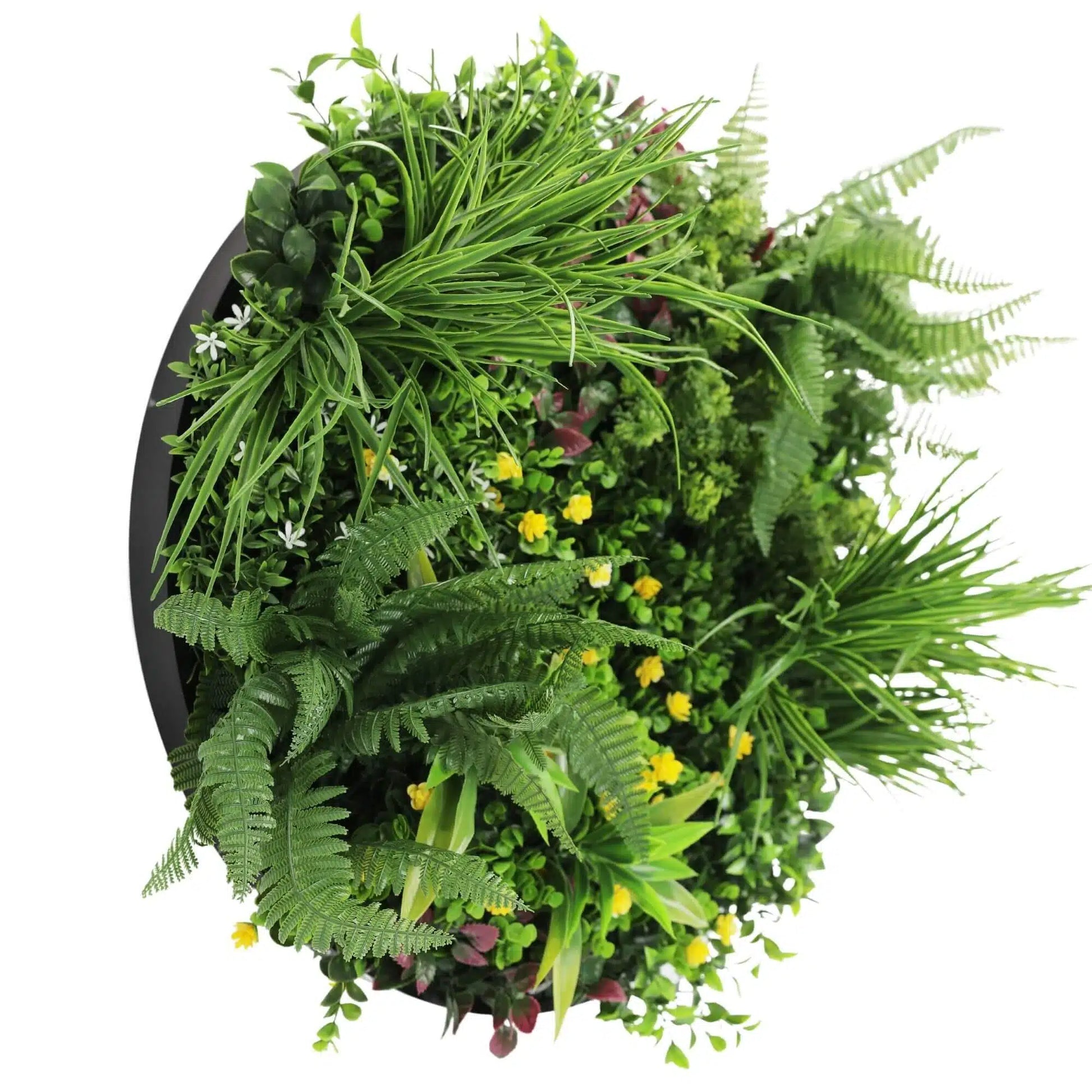 Slimline Artificial Green Wall Disc Art 60cm Country Fern UV Resistant (Black) - Image 3