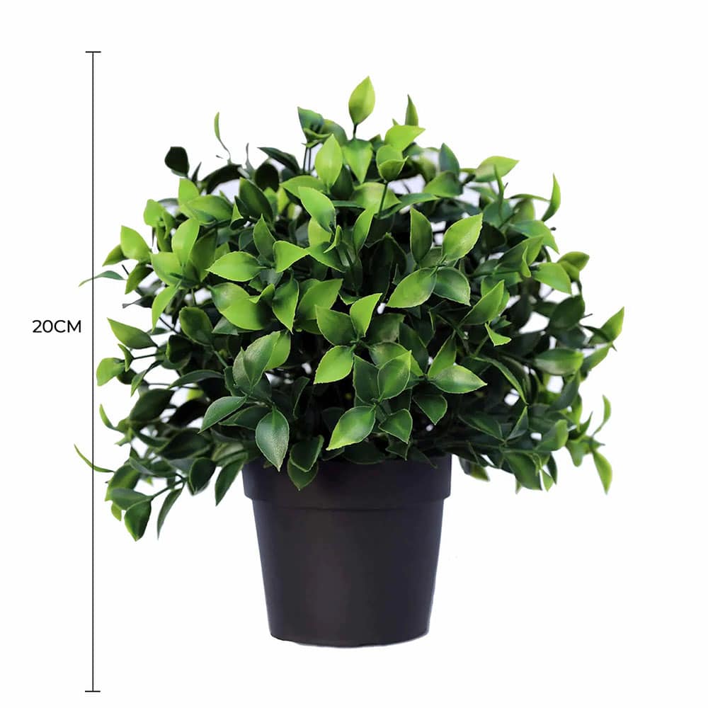 Small Potted Artificial Jasmine Plant UV Resistant 20cm - Image 2