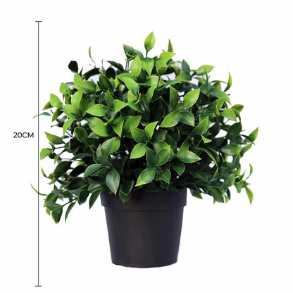 Small Potted Artificial Jasmine Plant UV Resistant 20cm - Image 2