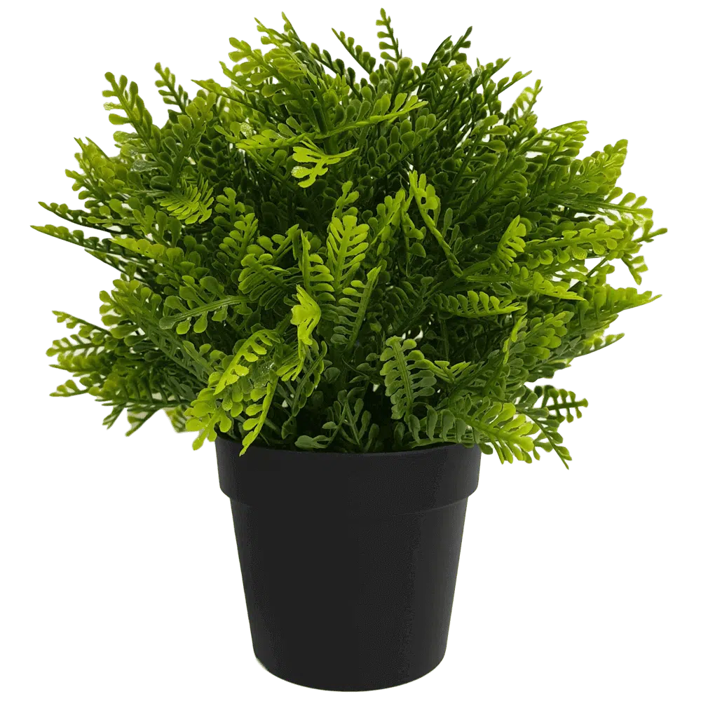 Small Potted Artificial Mimosa Fern UV Resistant 20cm
