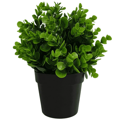 Small Potted Artificial Peperomia Plant UV Resistant 20cm
