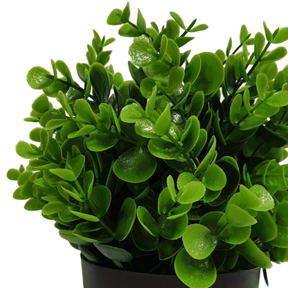 Small Potted Artificial Peperomia Plant UV Resistant 20cm - Image 3