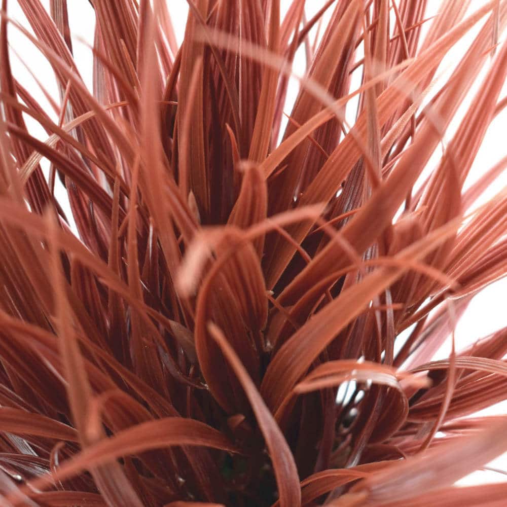 Artificial Ornamental Potted Dense Burgundy Grass UV Resistant 38cm - Image 3