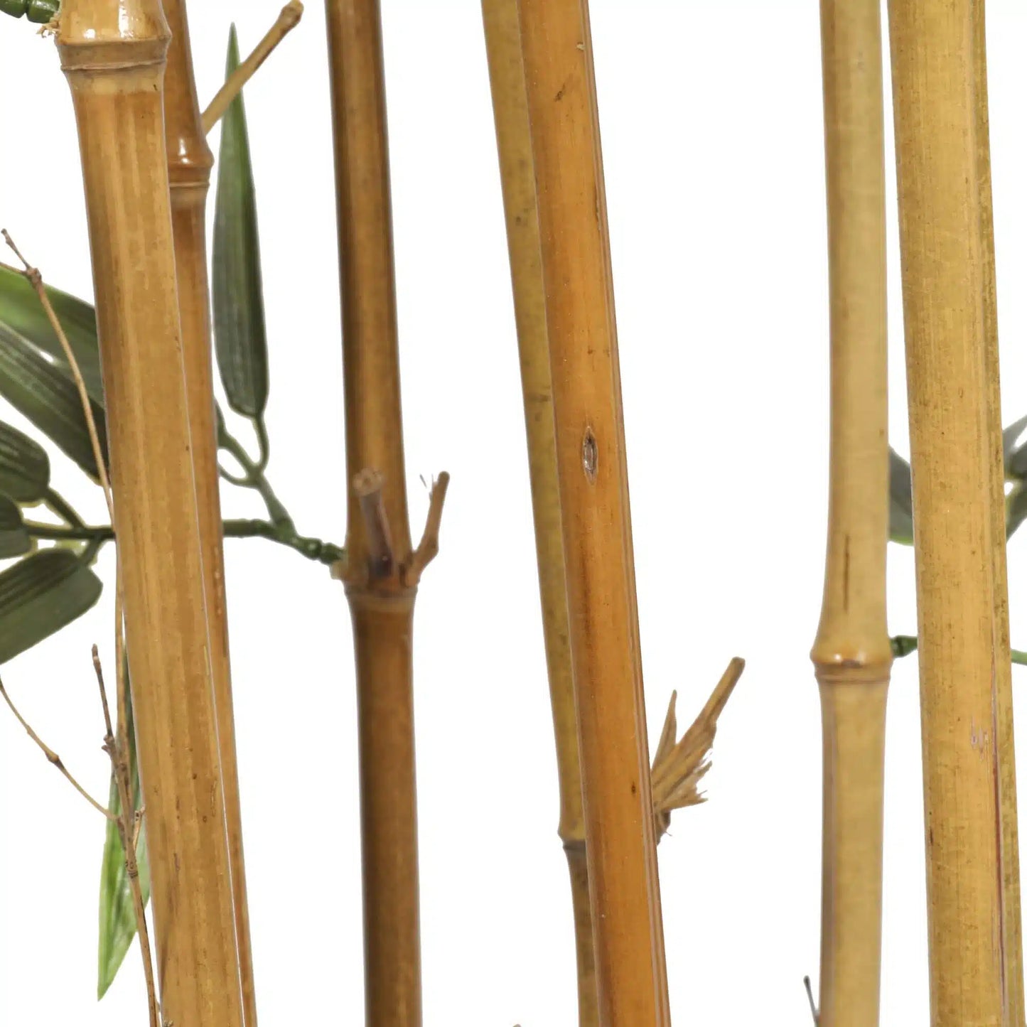 Premium Natural Cane Artificial Bamboo (UV Resistant) 150cm - Image 3