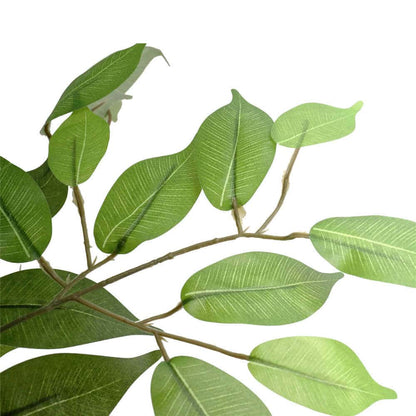 Large Custom Made Ficus Tree 250cm - Image 4