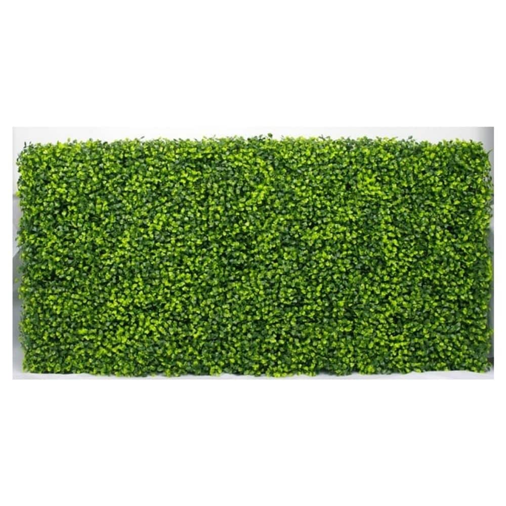 Mixed Boxwood Hedge UV Resistant 100cm Long x 50cm High - Image 3