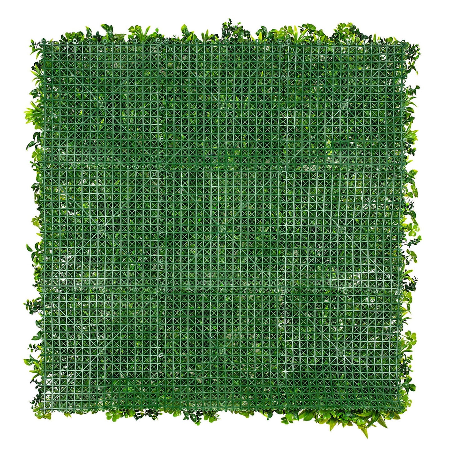 Lavandula Vertical Garden / Green Wall UV Resistant 1m X 1m - Image 4