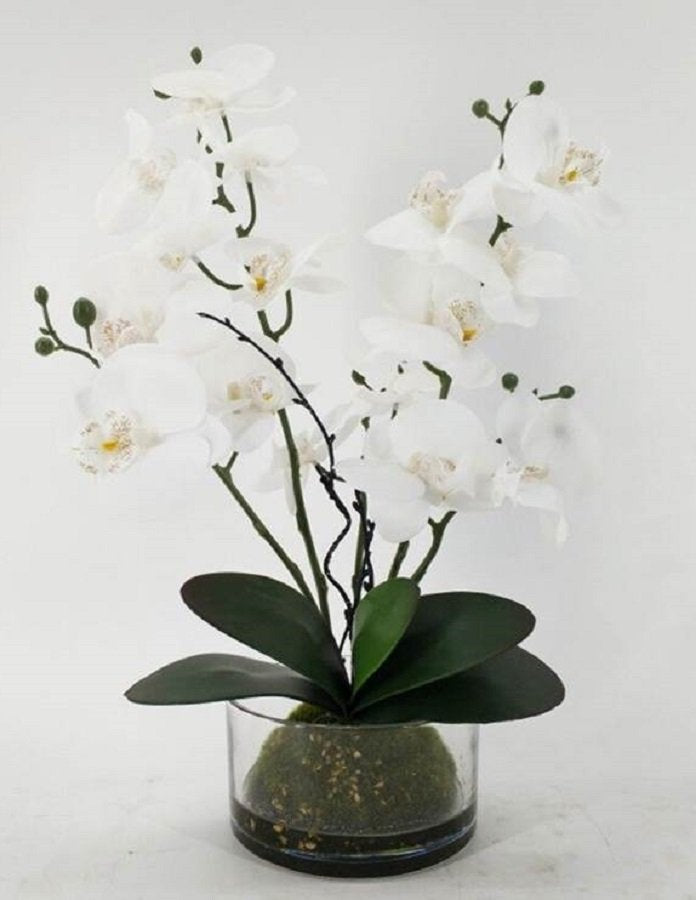 Artificial Orchid In Glass Pot 48cm