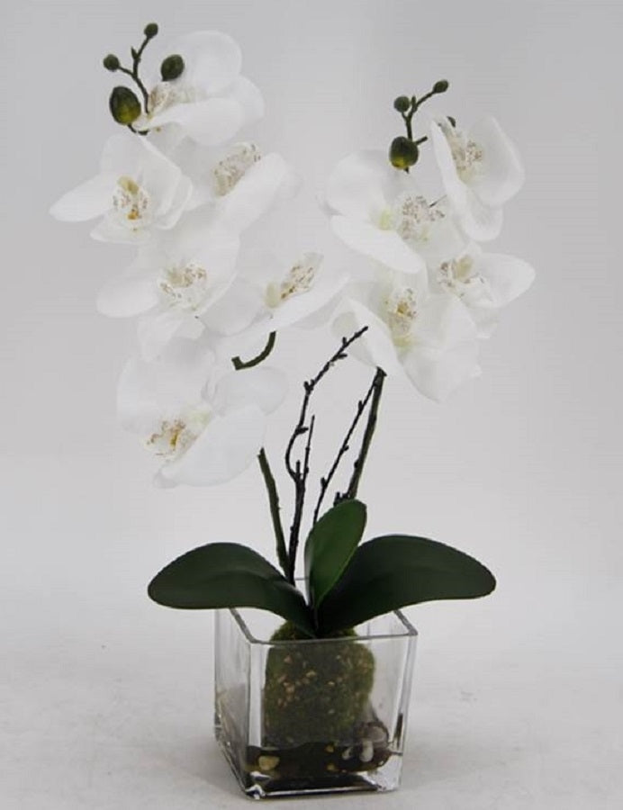 Artificial Orchid in Glass Pot 45cm
