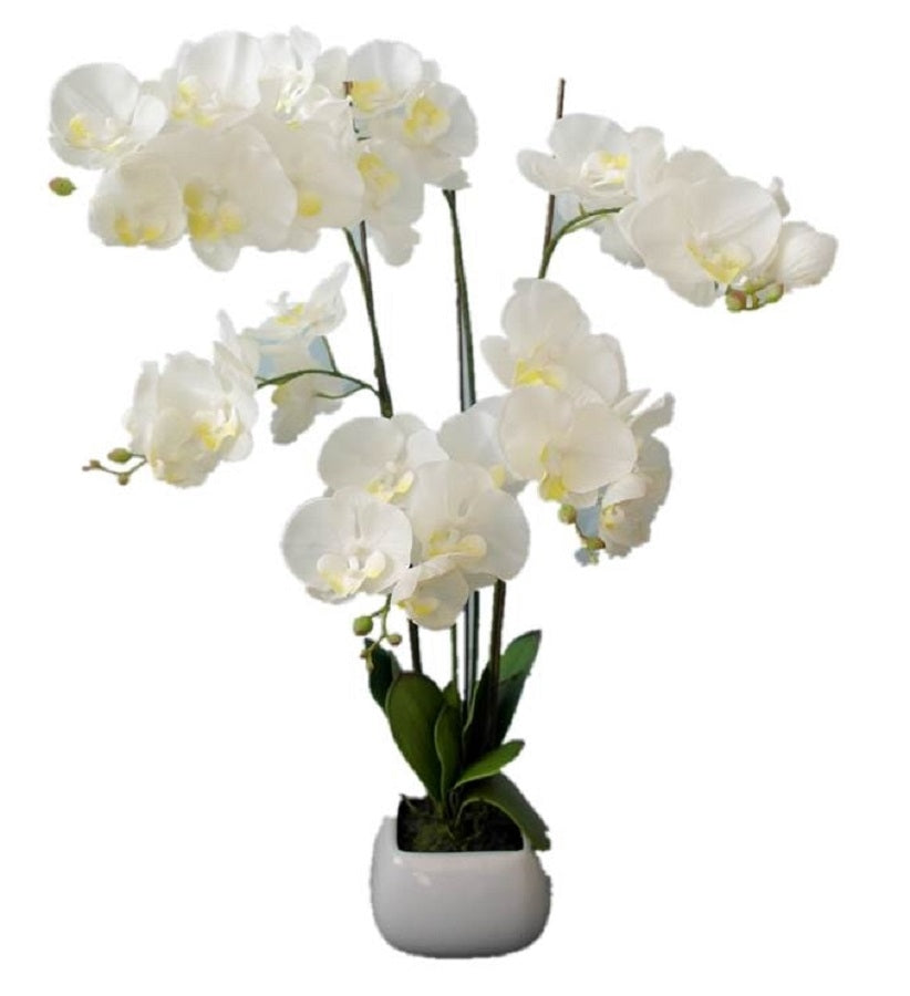 Artificial Orchid in White Pot 70cm