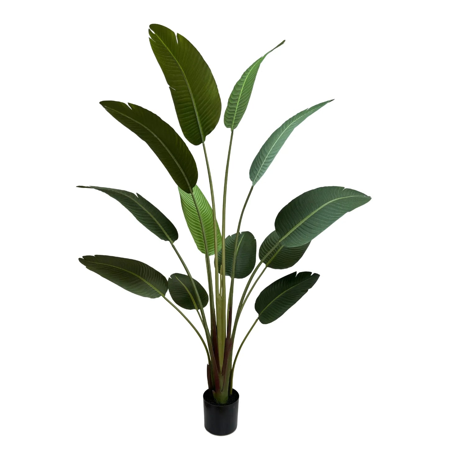 Grand Artificial Potted Travellers Palm (Banana Palm Tree) 180cm - Image 2