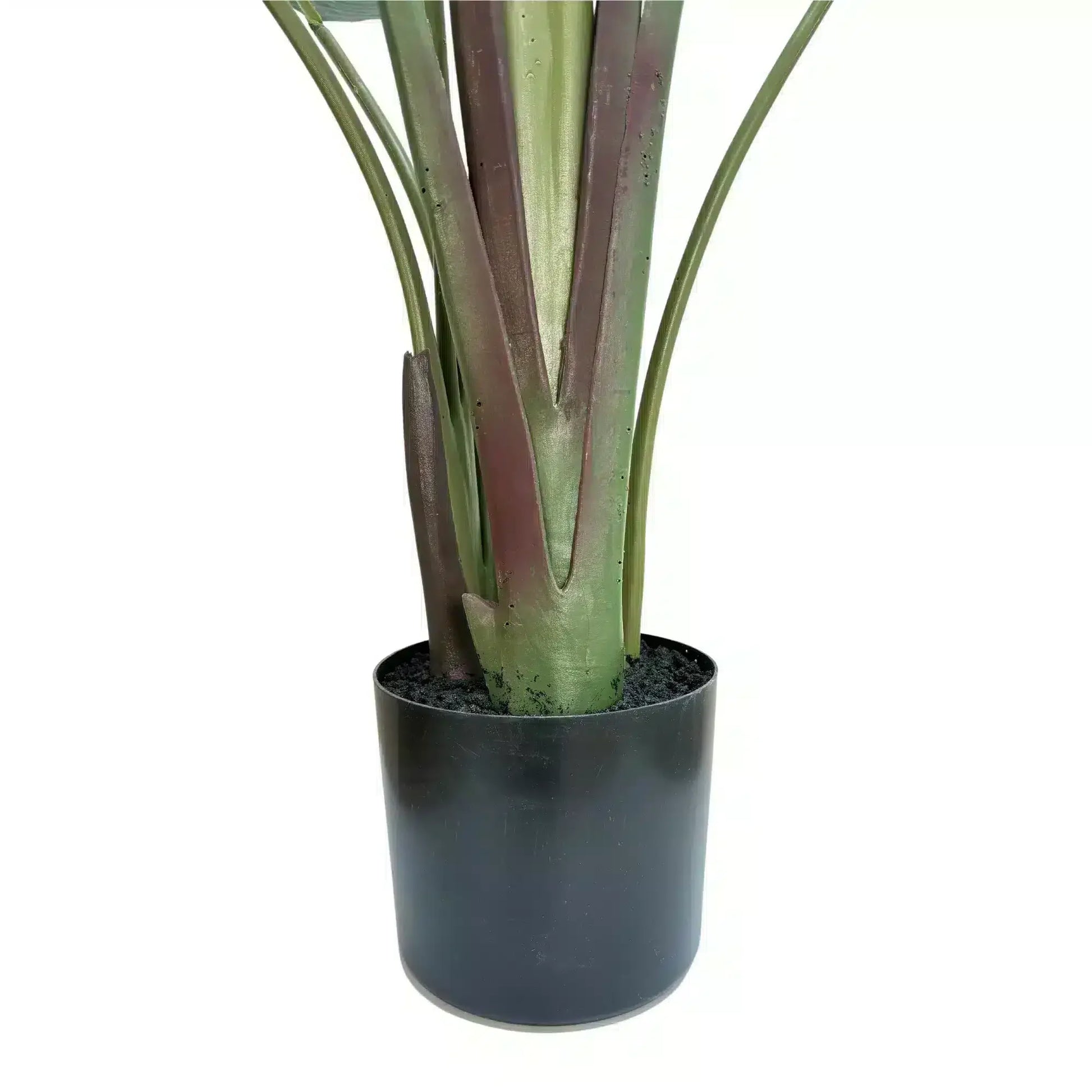 Grand Artificial Potted Travellers Palm (Banana Palm Tree) 180cm - Image 3